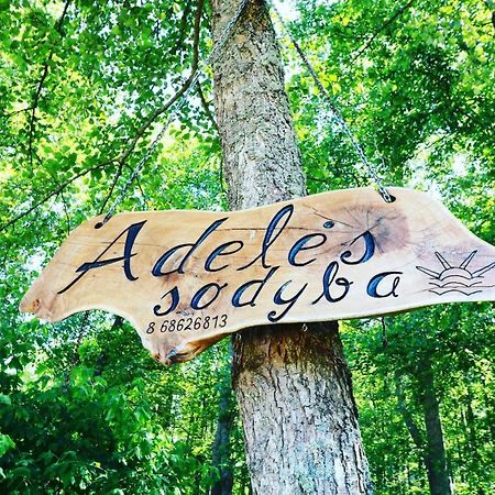 Adeles Sodyba Sturmai 외부 사진
